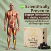 Pure Shilajit Resin
