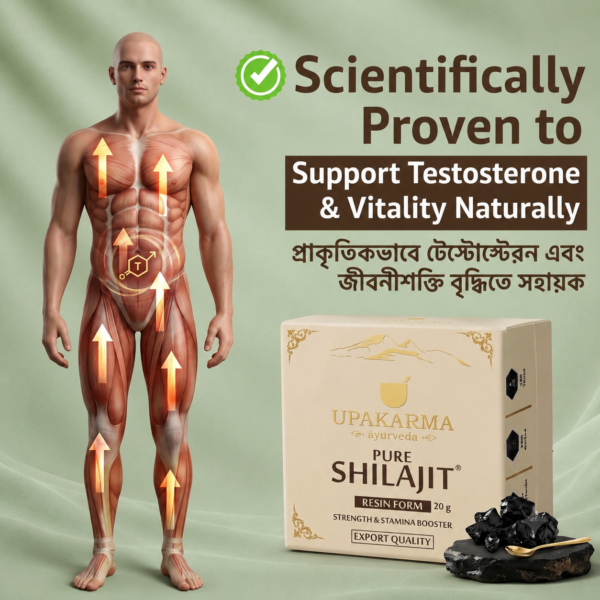 Pure Shilajit Resin