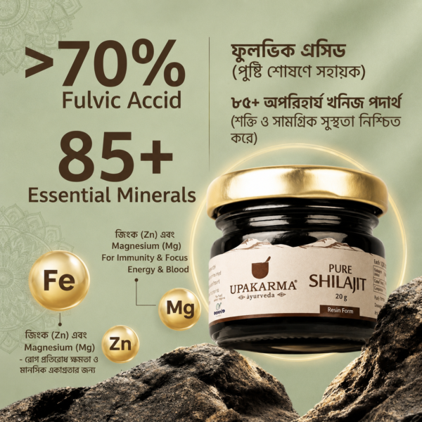 Pure Shilajit Resin